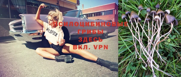 кокаин перу Бородино