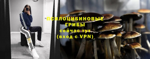 MDMA Premium VHQ Бронницы