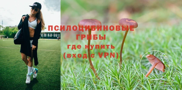 прущая мука Сатка