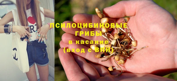 кокаин перу Бородино